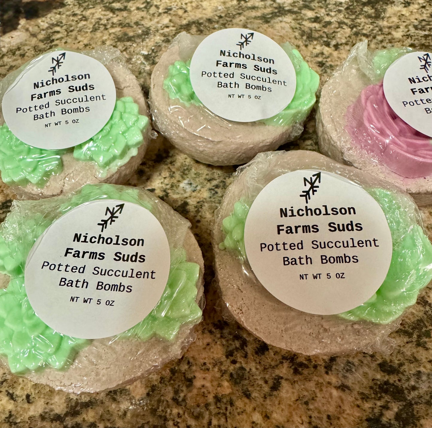 Potted Succulent Bath Bombs