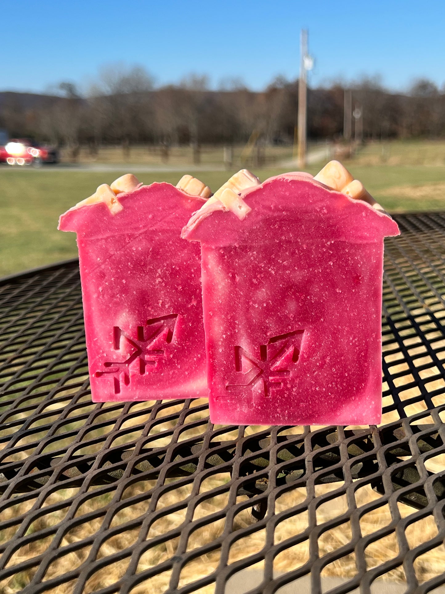 CANDY CANE SOAP