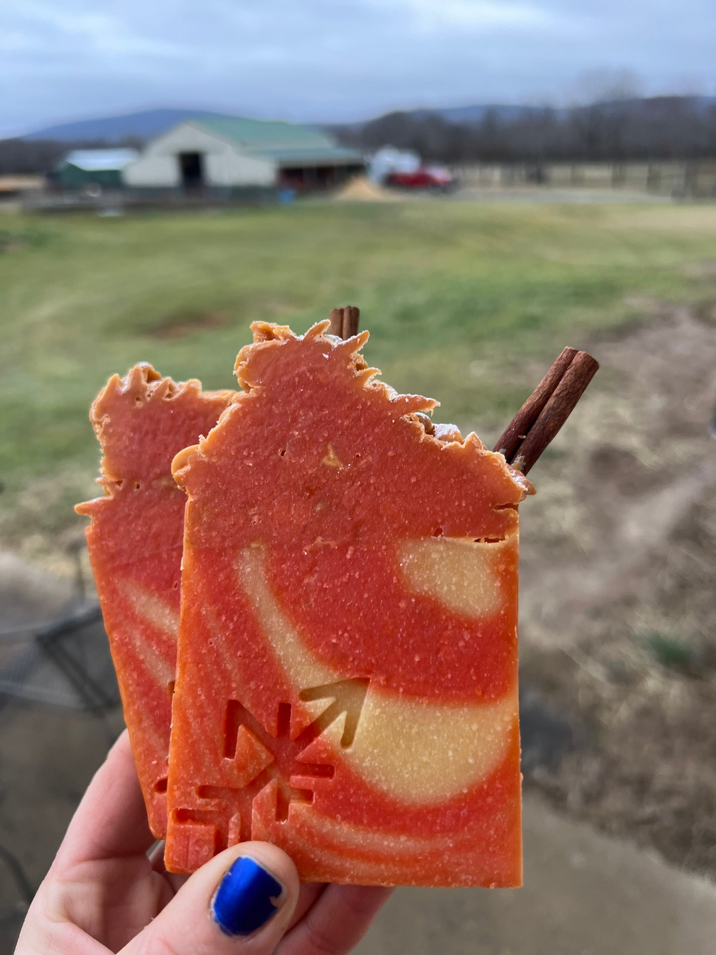 SPICED CRANBERRY FROSTED SOAP